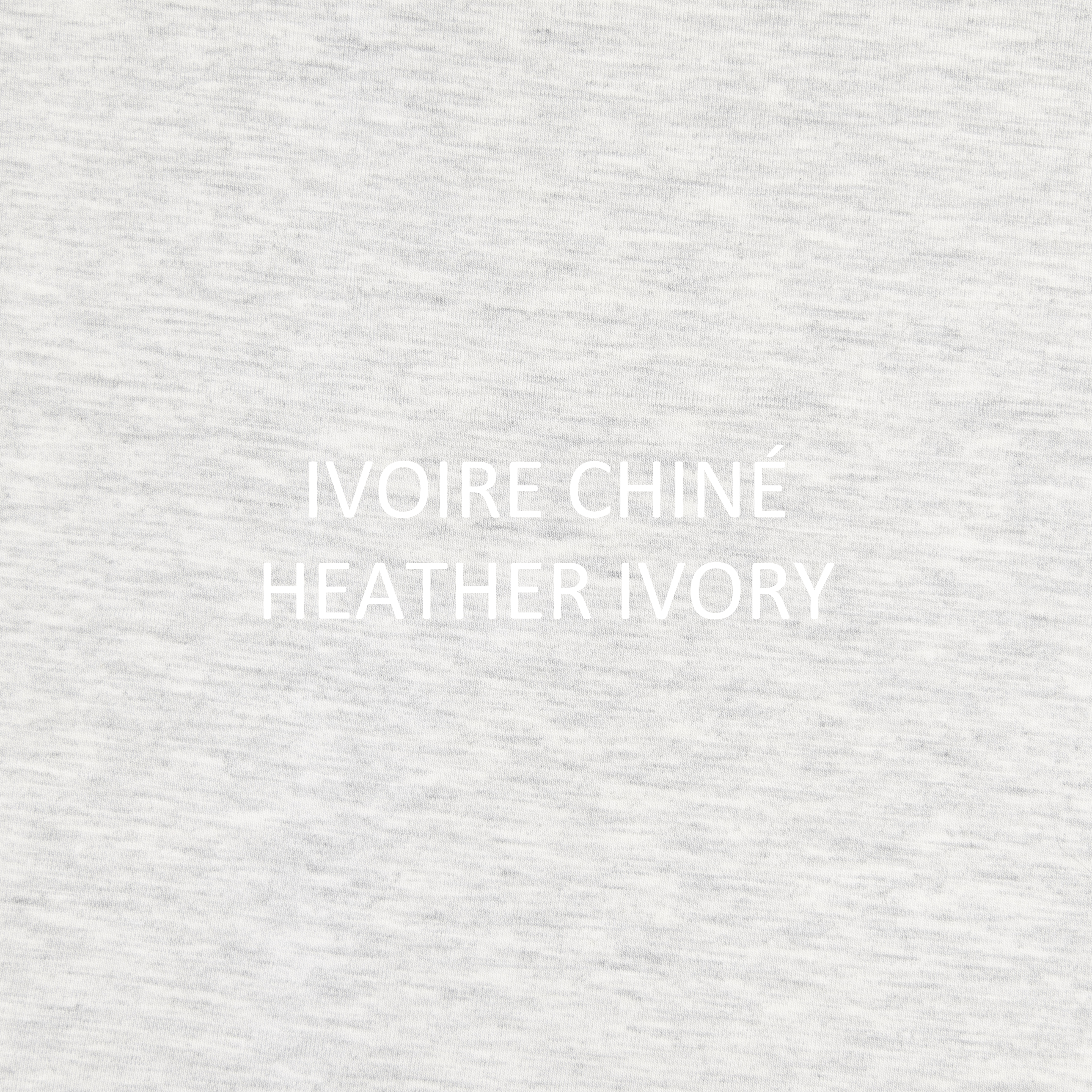 Culottes taille basse CLEO C402